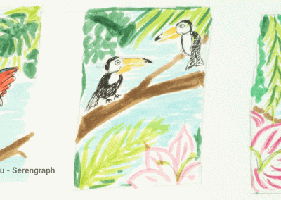 Croquis du projet pour le Toucan's Jungle